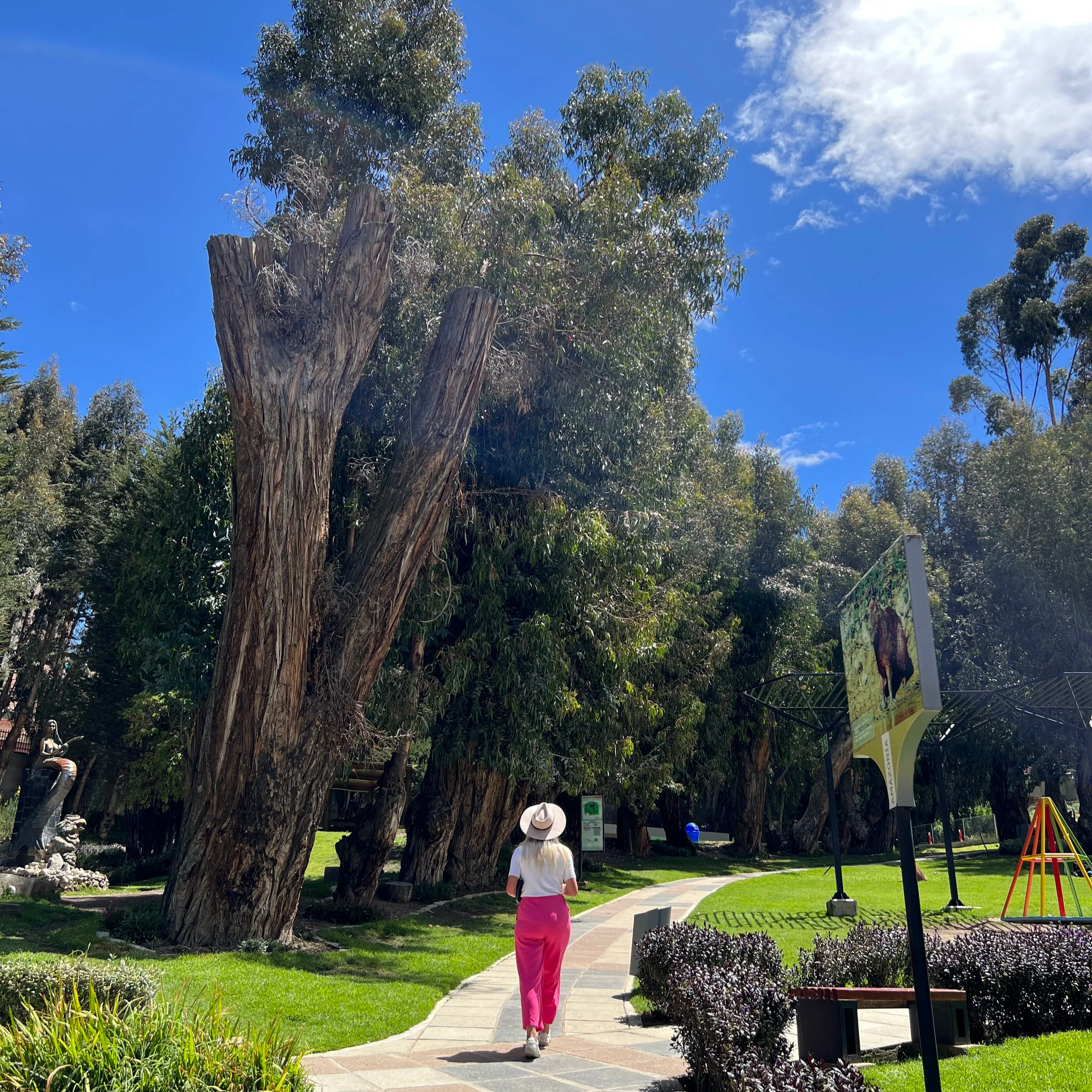 Gardens and green corners in La Paz